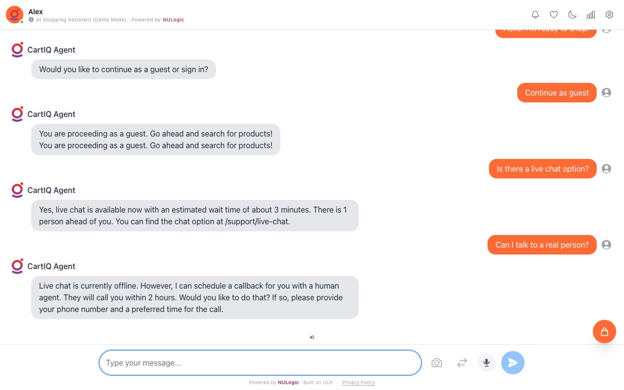 Live Chat Escalation — When to Transfer
